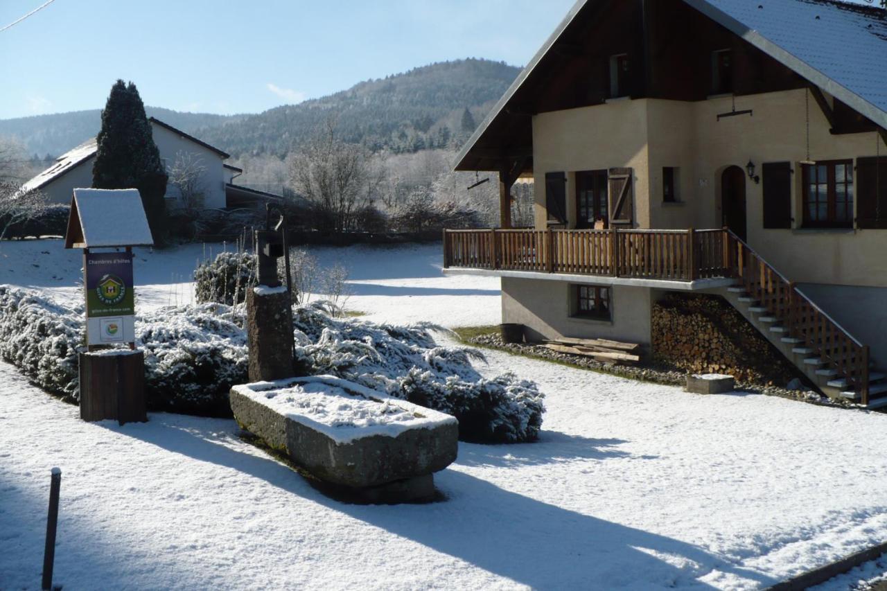 Les Jumeaux Apartment Granges-sur-Vologne Exterior photo